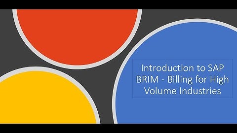 1   Introduction to SAP BRIM