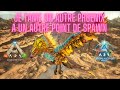 Je tame un autre phoenix a un autre point de spawn