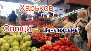 Харьков/Цены падают/Новосалтовский рынок 