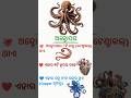 Octopus #octopus #didyouknow #facts #odiagk #gkodia #odisha #shorts