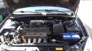 Sonata EF Соната (Тагаз),мойка двигателя