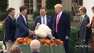 President Donald Trump pardons 2017 Thanksgiving turkeys in traditional ceremony