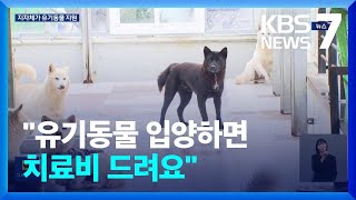 반려동물 300만 가구 시대…“유기동물 입양하면 치료비 드려요” / KBS  2024.02.12.