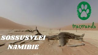 Sossusvlei En Namibie
