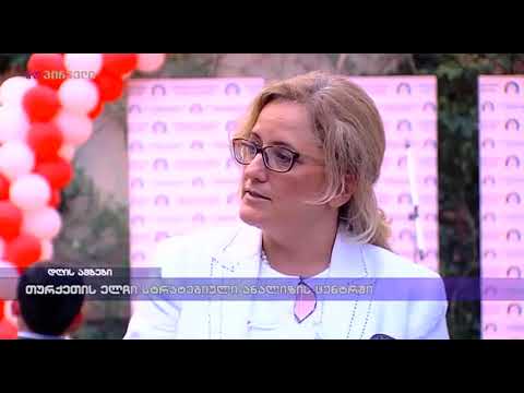 თურქეთის ელჩი სტრატეგიული ანალიზის ცენტრში