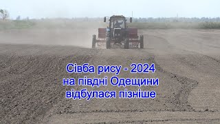 Рисоводи Кілійської громади цьогоріч розпочали сівбу на свій ризик