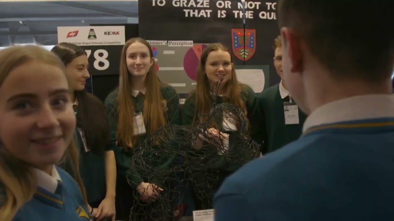 Certified Irish Angus School's Competition 2024 Final