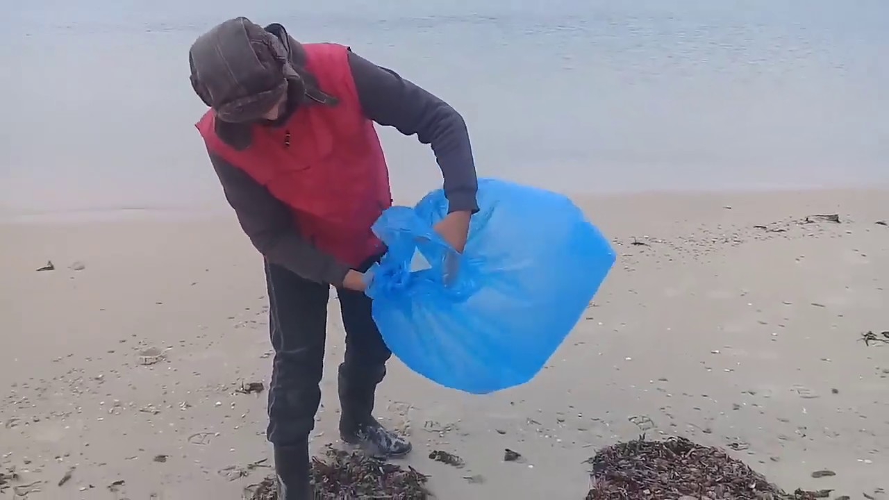 من الشاطئ تصطاد في الأعماق