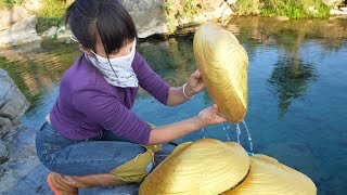 🤯The blue spring water nurtures a super golden giant clam, which startles the girl when she opens it