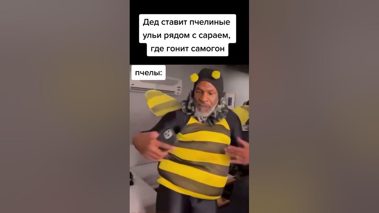 Пчелы зажигают #мем #мемы_тикток #юмор #смешное - YouTube