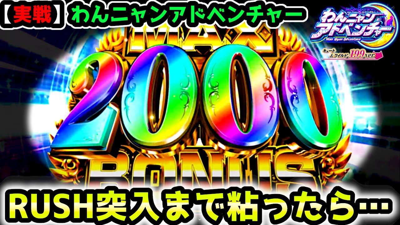 "RUSH突入まで…"粘り続けた結果【Pわんニャンアドベンチャー】《ぱちりす日記》199 海物語 ギンパラ わんパラ 新台