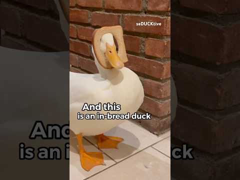 Two types of