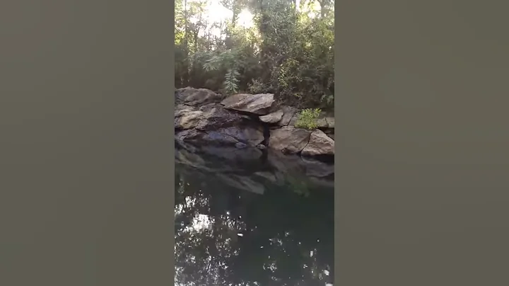 My day at the river!!!
