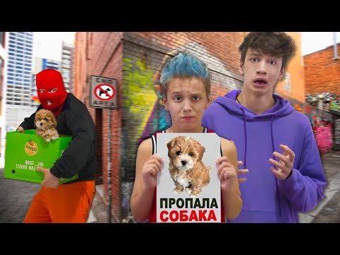 Видео: Кто Пробрался к Нам в Дом ? Скрываем СОБАКУ от Папы !