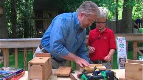 How to Make a Bird Sanctuary in the Backyard