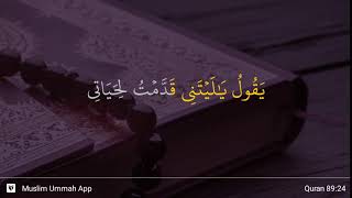 Al-Fajr ayat 24