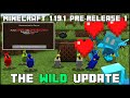 Minecraft 1.19.1 - Pre-Release 1 - Allay Duplication Nerfed &amp; Realms Bans!