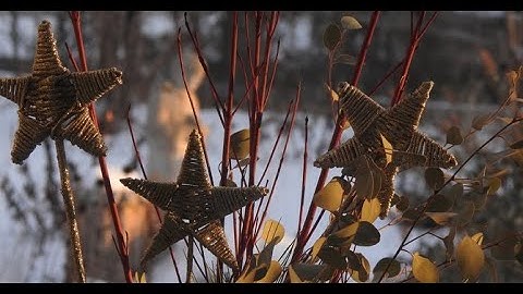 Second Sunday in Advent, 10 December, 2023