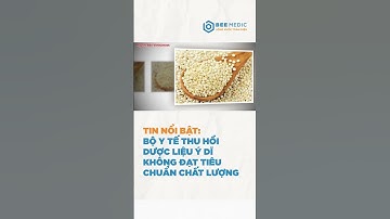 Bộ Y tế thu hồi dược liệu Ý dĩ không đạt tiêu chuẩn chất lượng | BEE MEDIC