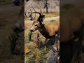 when your day ones switch up... #farcry5 #ubisoft #viral #funny #gaming