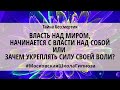 Власть над миром, начинается с власти над собой или зачем укреплять силу своей воли?