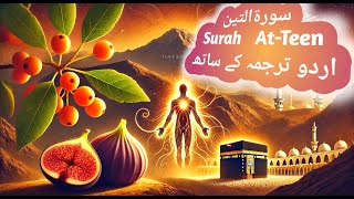 Surah Tin recitation and translation #islam #allah #quran #surah #recitation