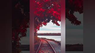 beautiful natural wallpapers# wallpaper video