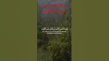 سورة الحج الشيخ ياسر الدوسري #quran #اكسبلور #yasseraldossary #دويتو #المصحف #ياسر_الدوسري #لايك