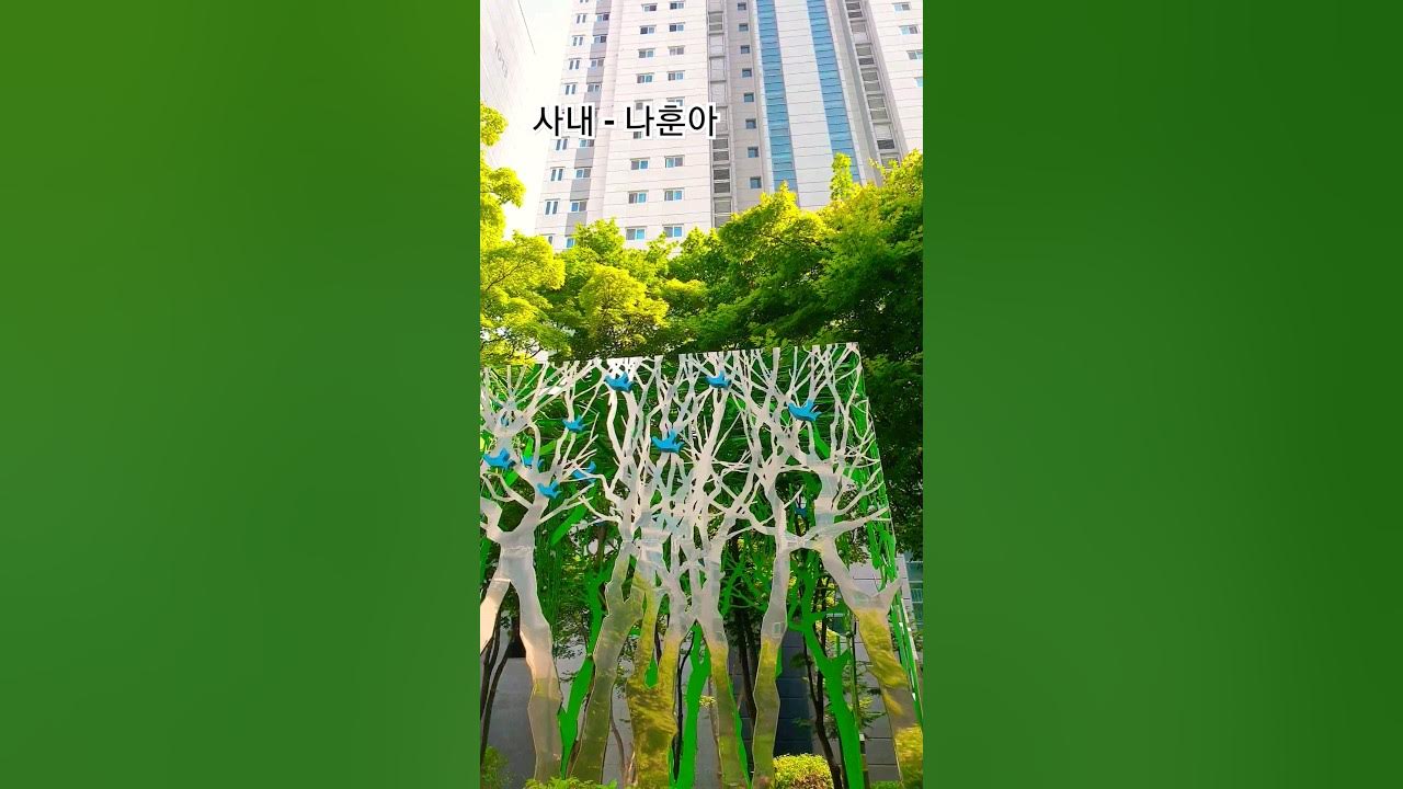 사내 - 나훈아 (Man - Na Hoon-A)Korea's Best trot national male singer-songwriter @changyuloh 🇰🇷 사내 - 나훈아 (Man - Na Hoon-A)Korea's Best trot national male singer-songwriter @changyuloh 🇰🇷