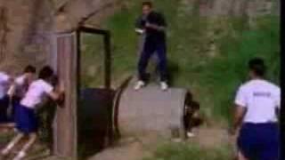 Shape It Up Bulk & Skull