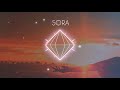 SORA Follow Official Video SORA Follow Official Video