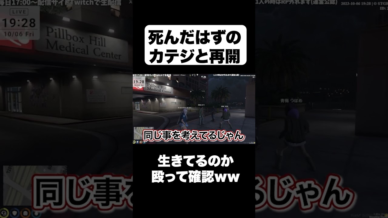 【救急隊】死んだはずのカテジに会ったつばめ、とりあえず殴って確認【#ストグラ #切り抜き #ぎゃるみ きゃばみざわ☆ぎゃるみ↑/GTA5/ストリーマーグラセフ】