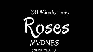 MVDNES - Roses [30 Minutes Loop] (INFINITY BASS)