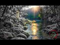 Quiet River Flowing in Forest for Peaceful Night Sleep
