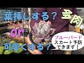 ブルーバード 葉挿しする?or可愛くする? 多肉生産者「pukupuku taniku」