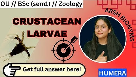 crustacean larvae//phylum arthropoda//OU BSc Zoology// arsh bionyms// humera
