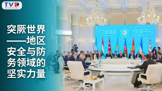 突厥世界——地区安全与防务领域的坚实力量
