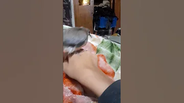 تءليف طاءر اليمامة 