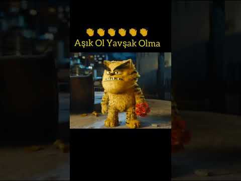 Aşık Ol Ama Yavsak Olma - Kötü Kedi Şerafettin