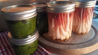 Wild Leek (Ramps) Refrigerator Pickles & Pesto! (Wild Edible Recipes)