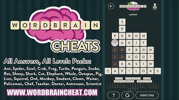 WordBrain Dinosaur 14 Cheats | WordBrain Cheats | Dinosaur 14 Answer