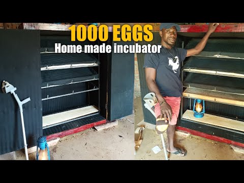 1000 EGGS CAPACITY KEROSENE LAMP INCUBATOR - How to make it step by step.
