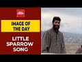 Image of the day kashmiri man sings song to bird in viral