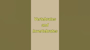 Vertebrates and invertebrates| definition| Bio Shorts| #shorts#biology