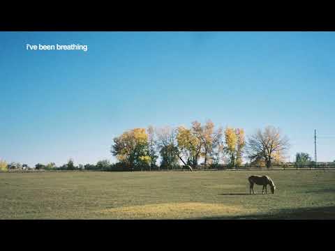 Trevor Hall - mindful breathing (feat. Thich Nhat Hanh) [Official Lyric Video]