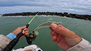 Lucky Catch At The Bridge! Inlet and Bridge Fishing for Snook, Redfish, and Jack by FishAholic Fishing 32,480 views 2 months ago 21 minutes