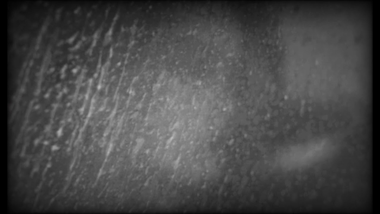 Message To Bears - You Are a Memory (slowed + reverb)