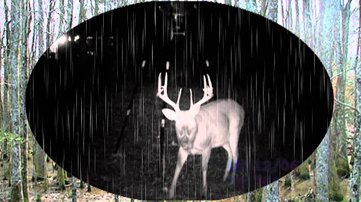 Kenny's Outdoors With Clyde Courtright