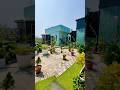Terrace gardening 🏡🥰 #trendingshorts #gardening #terracegarden #greenypotsvlog