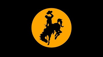 Canvas  Adding a Presentation Google Slides to a Module